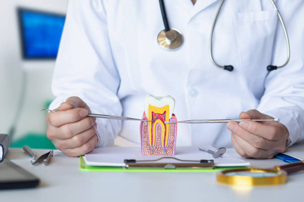 Best Emergency Broken Tooth Repair in Laurel Hill, VA